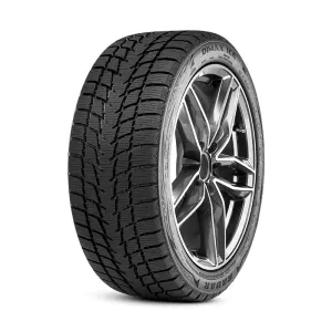 205/55R16XL Radar Dimax Ice 94T