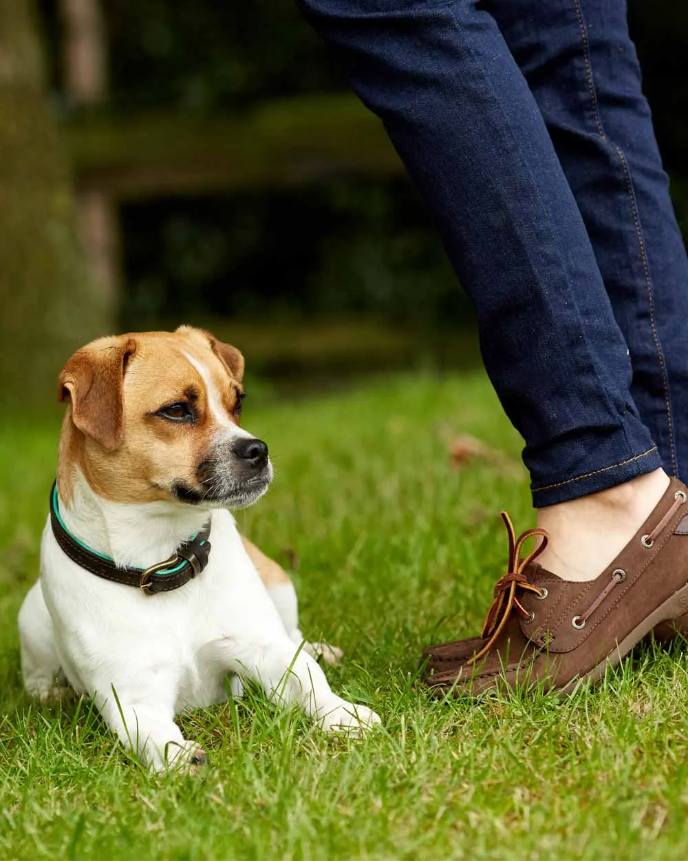 Ariat Womens Antigua Boat Shoes