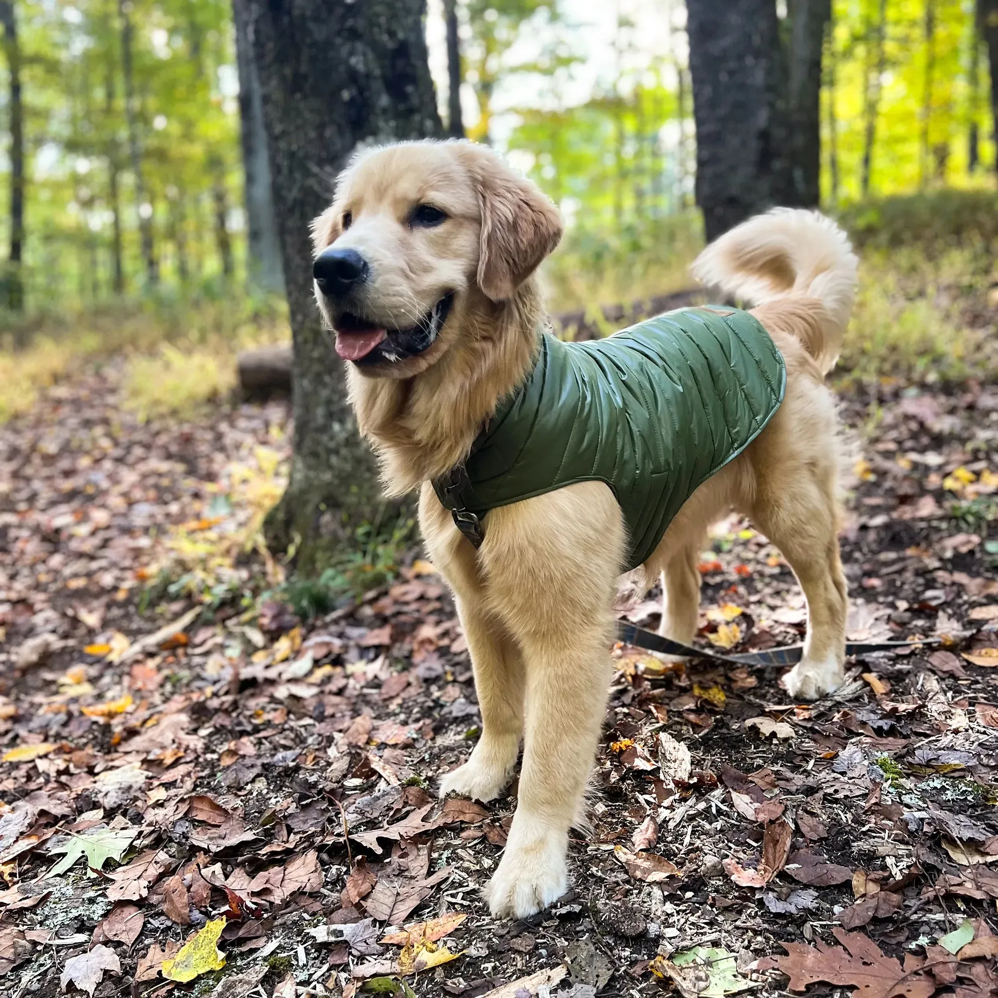 Pendleton Puffer Coat | Century Harding Loden